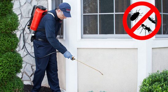 Kulu Kene İlaçlama böcek ilaçlama ve haşere kontrolü — ilaclama-tr.com